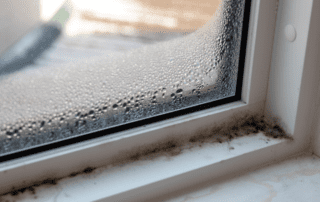 How to Prevent Mold in Your Unoccupied South Florida Home