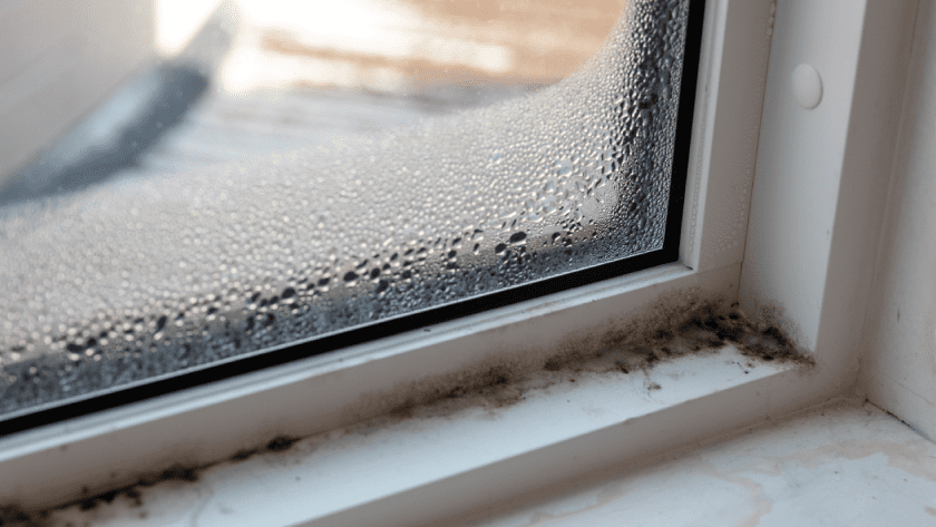 How to Prevent Mold in Your Unoccupied South Florida Home