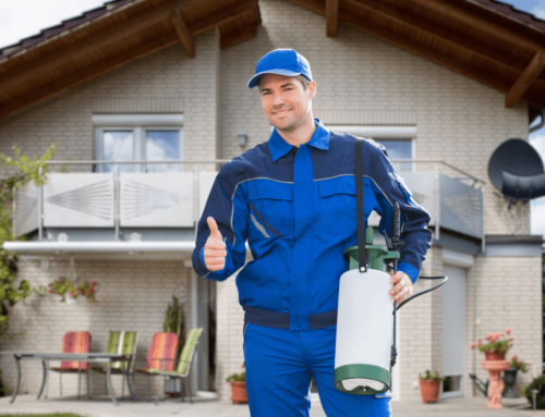 Managing Pest Control at Your Seasonal Palm Beach Home